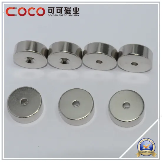 Ring Magnet with Hole, Permanent Magnet, Generator Neodymium Magnet Wind Turbine N35, N38, N40, N42, N45, N48, N50, N52