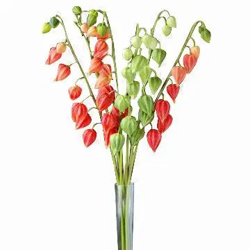 Cope Gooseberry PU Flower, Soft, Elastic and Anti-pollution