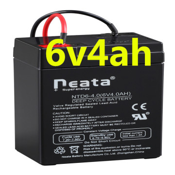 Neata 6v 4ah 20hr rechargeable battery for scales 6V4AH