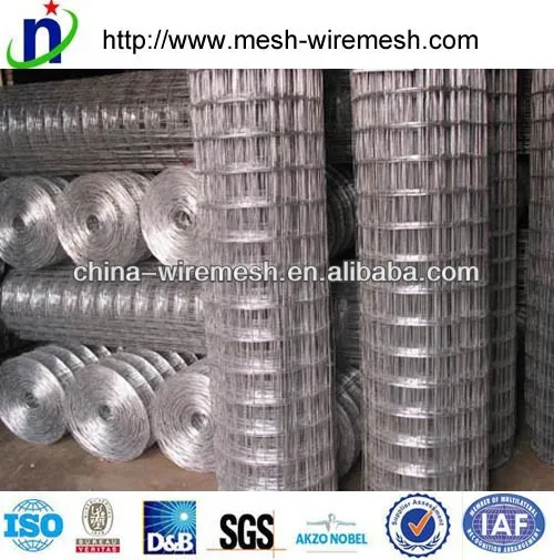 Anping 4x4/2x2 galvanized welded wire mesh