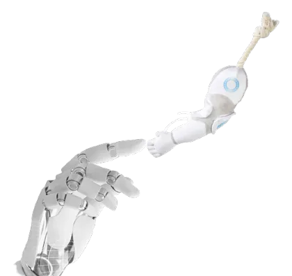 technology and fitness toys for dogs on sale