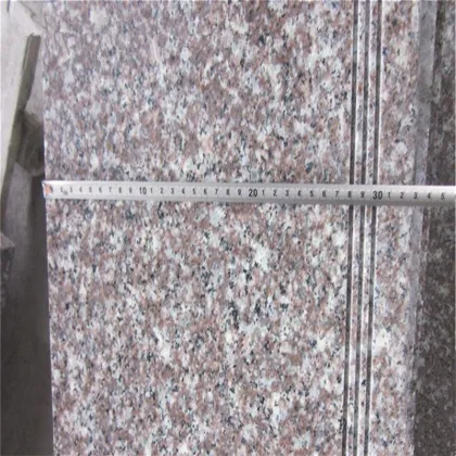 Anti Slip Granite Stairs G664 with DropFaced Edge