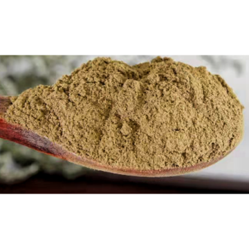 Azadirachta Indica Extract