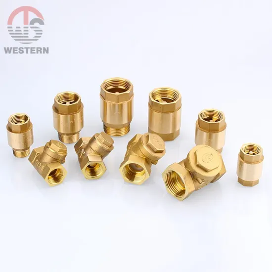 High Quality 3/8"-4" Pn20  Vertical Spring swing  thread one way non-return Brass sanitary water check valve