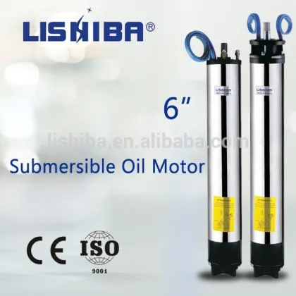 380V Electric Water Pump Motor