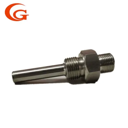 Precision Stainless Steel Pipe Fittings for Applications