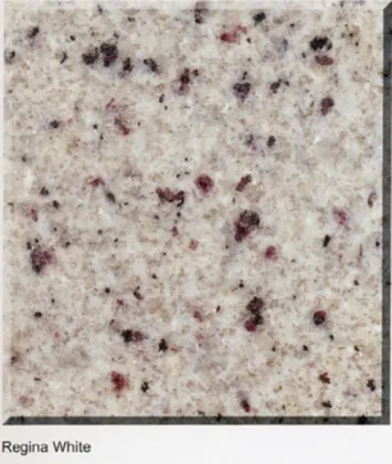 Regina White Stone Granite Floor Tile for Bathroom/Kitchen