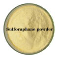 Buy online CAS4487-93-7 sulforaphane hormones active powder
