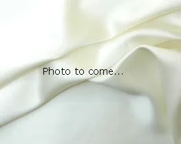 Silk Crepe-back Satin 40MM Greige fabric