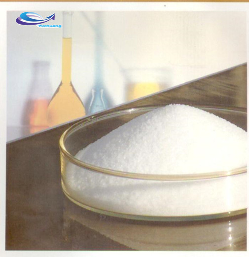 Pure and Natural Saw Palmetto Extract Powder