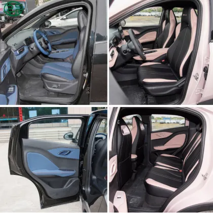 2025 BYD Seagull Pure Electric Cars - New Energy Vehicle Options