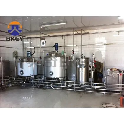 BKEY Factory Price Professional Made Evaporated Milk Coconut Milk Processing Machines