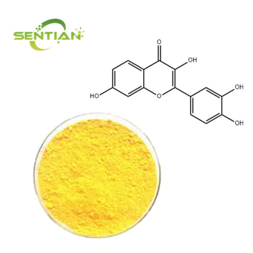 Smoke Tree Extract Fisetin 99%