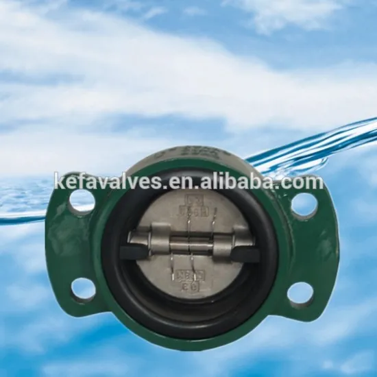 800 series check valve