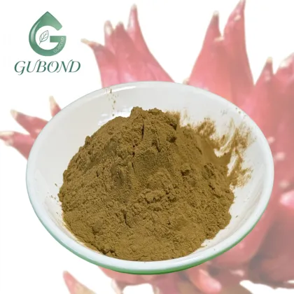 Natural Rhodiola Rosea Extract Powder Bulk