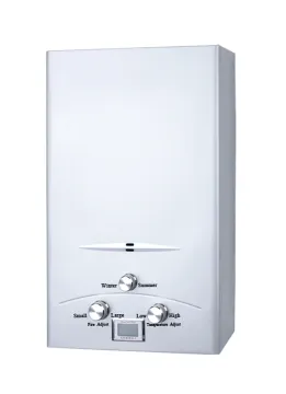 flue type liquefied brushed panel gas water heater