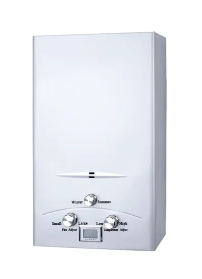 flue type liquefied brushed panel gas water heater