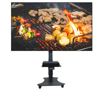 ALR projector screen 100 inches