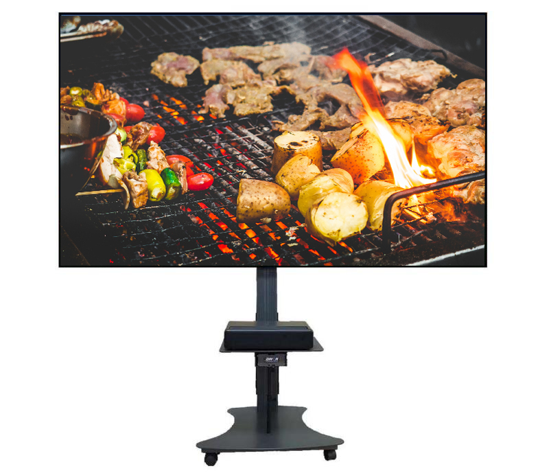 ALR projector screen 100 inches