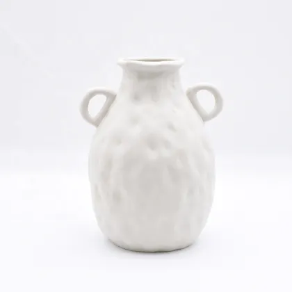 Living Ceramic Vase: Home Decor Tabletop Flower Vase