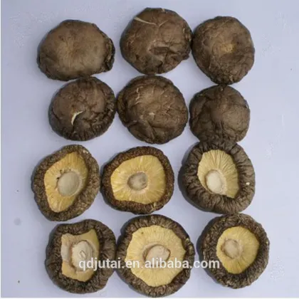 dried shiitake mushroom/dried foods factory price