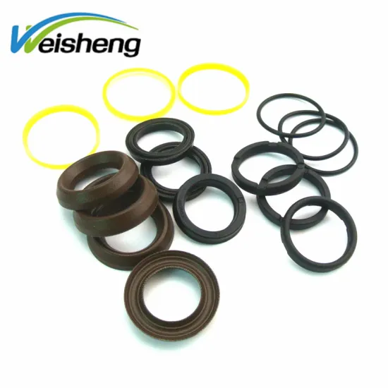 Interpump High Pressure V-Rings and Low Pressure FKM Fabric Pump Seals