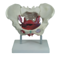 /msite/products/detail/productid/63173989/id/1517769.html