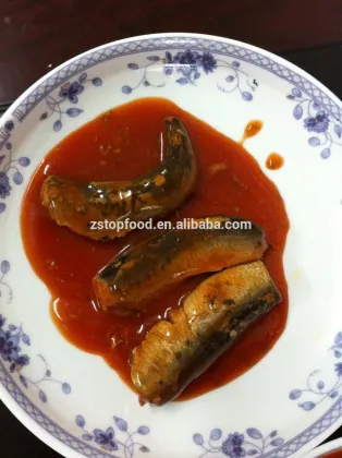 high quality canned pilchard in tomato sauce