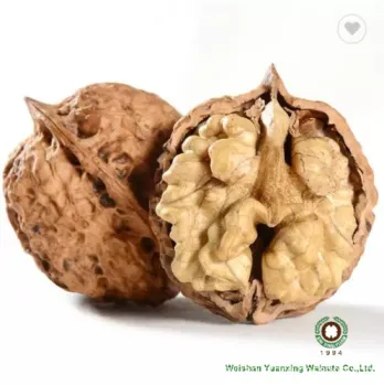 organic planted walnut shelled halves with light color