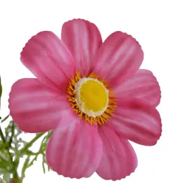 SF-01-555 3-Head Cosmos