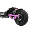 Sport Sport Fashion Fat Big 2 Wheels Electric Scooter