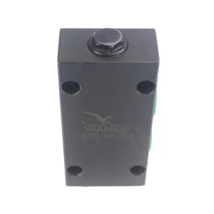 SYS-10L2B2 two-way dual hydraulic lock
