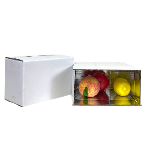 cajas térmicas aisladas para la entrega de alimentos