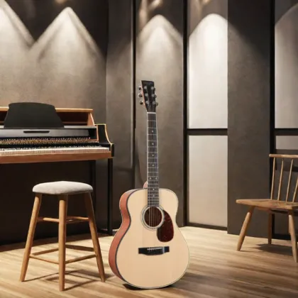 Hailun HL 1 Musical Instruments & Accessories: Elegant Guitar