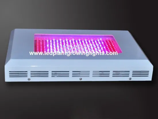 300w Full Spectrum Led Plant Growing Lights Infrared Uv For Flowering Seeding