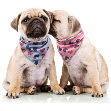 2 Packung waschbarer Hund Bandana