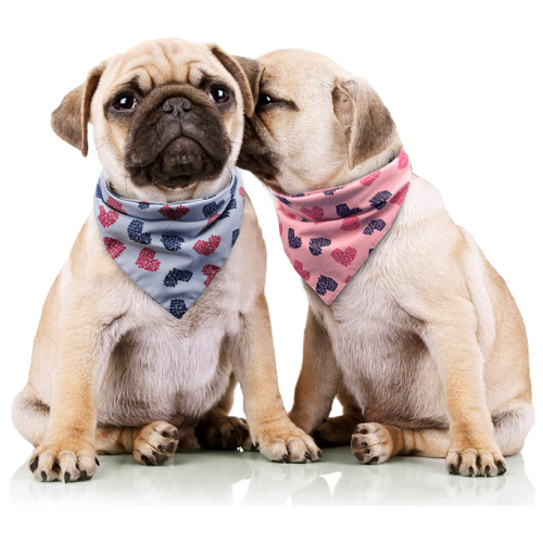 2 pack tvättbar hund bandana