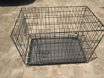 Fence Dog Kennels