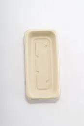 sugarcane 8" Disposable Paper Food Serving Tray Plate
