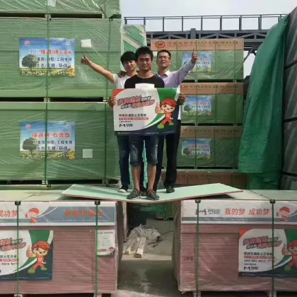 Fireproof Plasterboard Ceiling: Fire-Resistant Gypsum Board for Suspended Drywall Partition