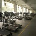 Enlio Mehrzweck-Fitnessstudio PVC-Sportboden