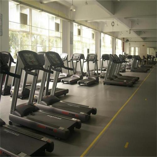 Enlio Multi Purpose Gym PVC Sports Flooring