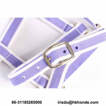 Purple Webbing Customized Size Horse Halter