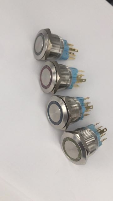 22mm Dot Maintained Push Button Switch
