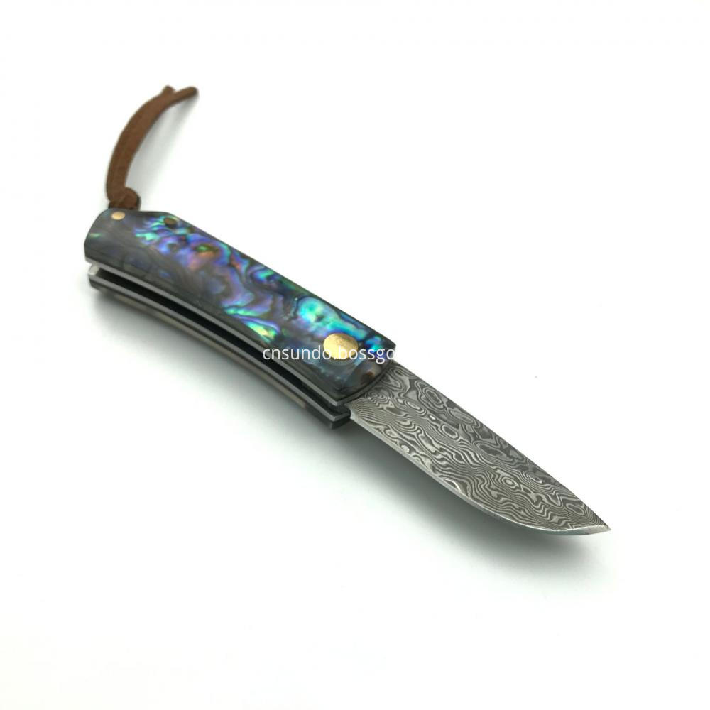 Shell Handle Knife