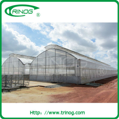 greenhouse fogging system