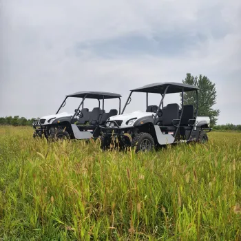 Lvcci 72V Electric Buggy UTV for Activities