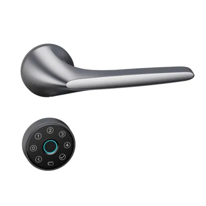 APP controlled smart lock