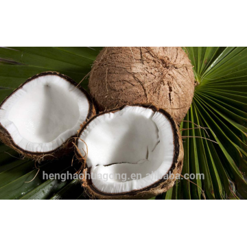 Carbono ativado de coco com bens de purificação de água