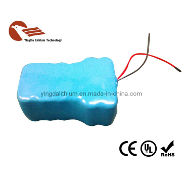 Deep Cycle UPS Lithium Battery 24V 50ah
